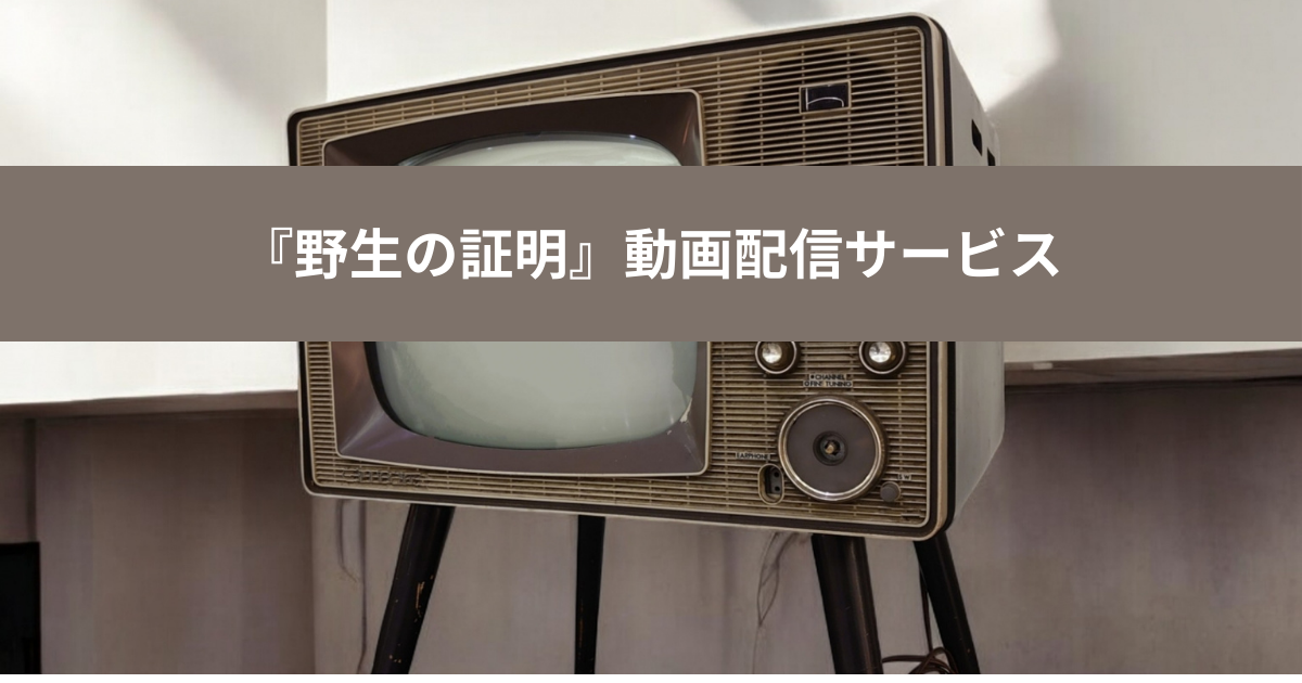 野生の証明の動画配信サービスの画像